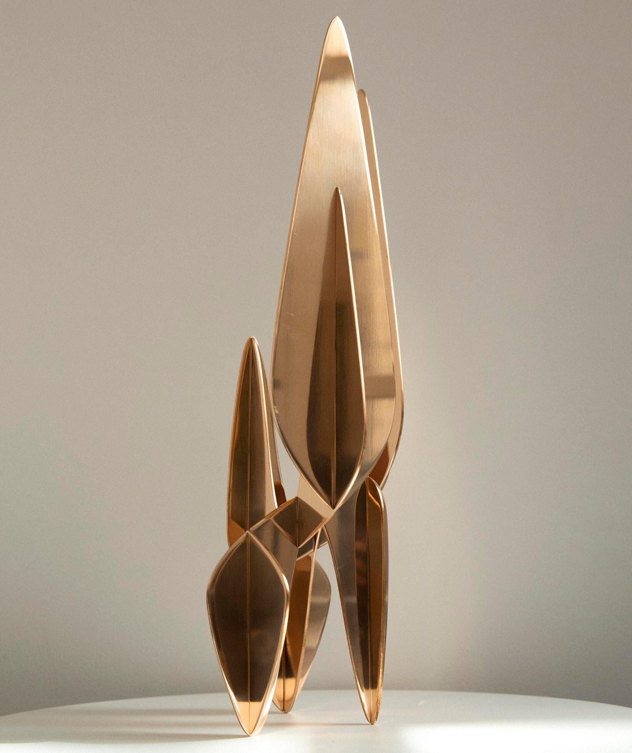 Barricada #20 bp S60 de Alejandro Vega Beuvrin - Escultura de bronce pulido en venta 1