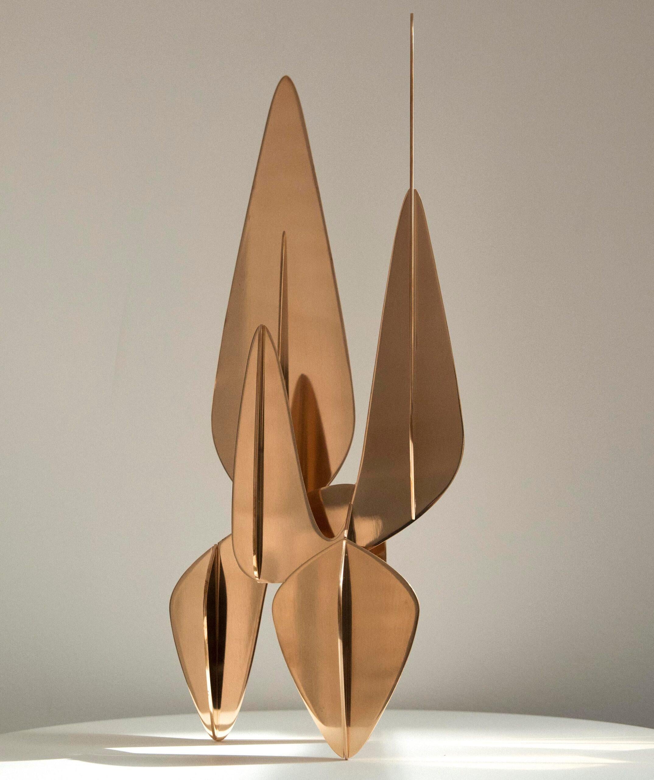 Barricada #20 bp S60 de Alejandro Vega Beuvrin - Escultura de bronce pulido en venta 3