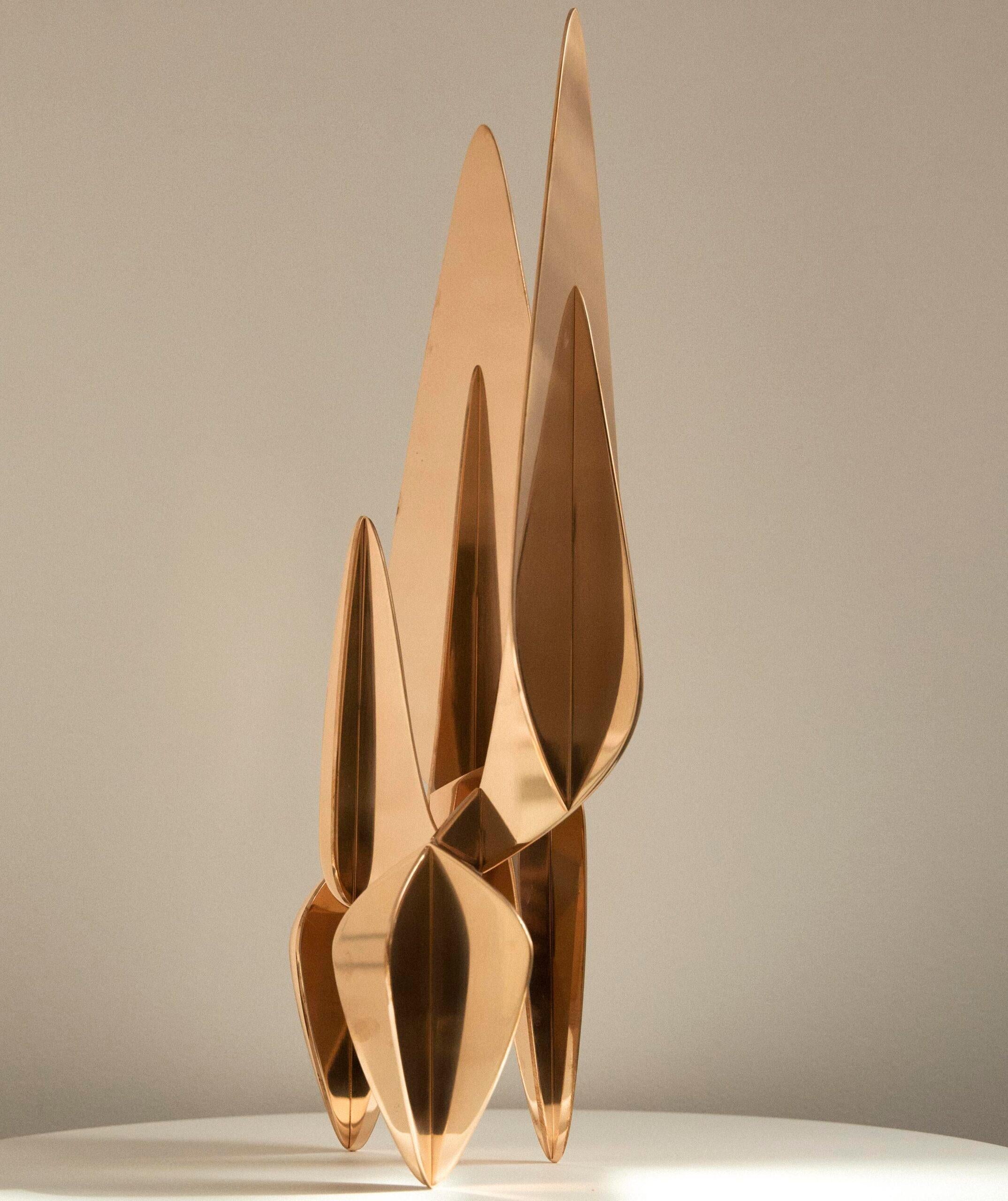 Barricada #20 bp S60 de Alejandro Vega Beuvrin - Escultura de bronce pulido en venta 4