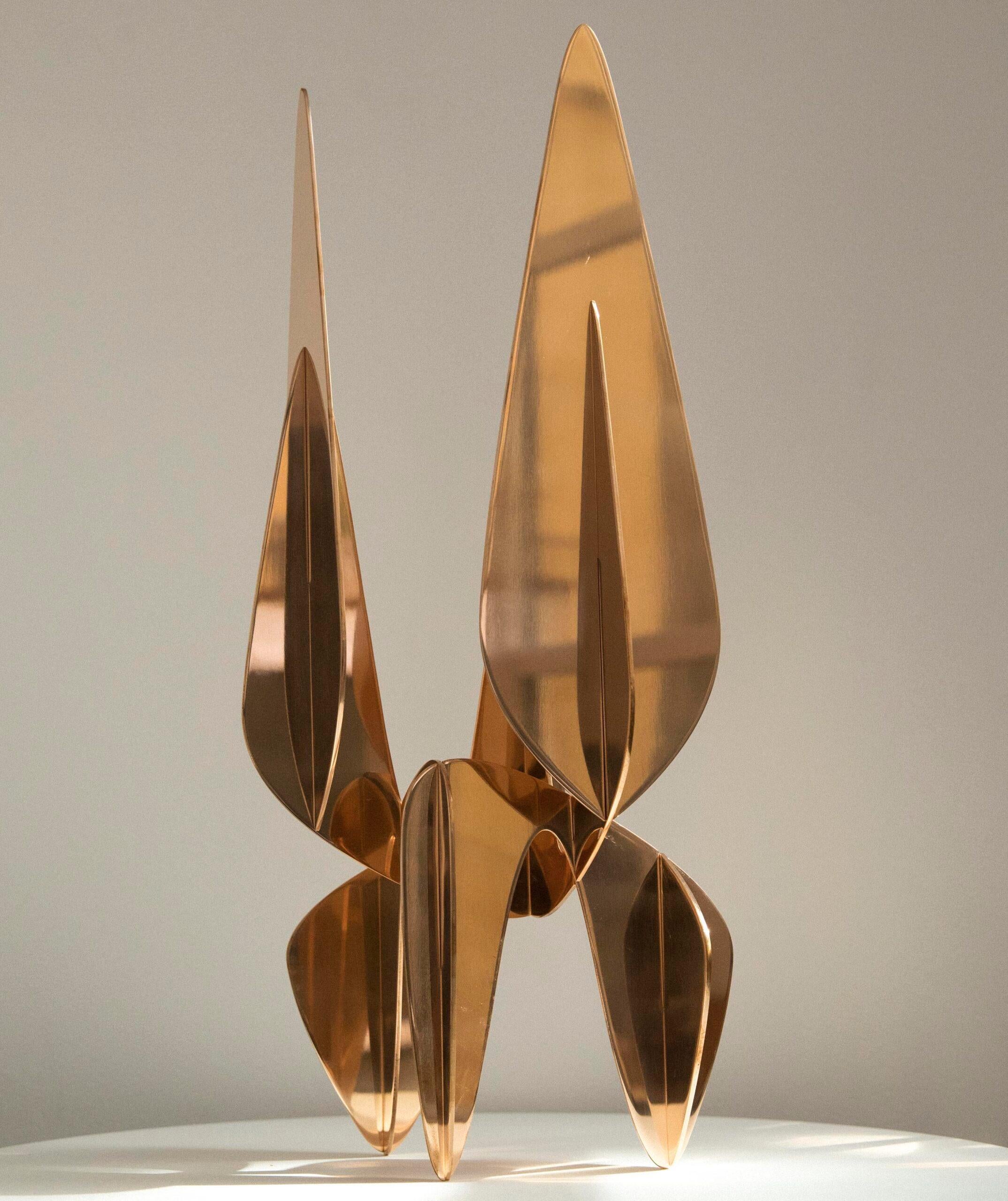 Barricada nº 20 bp S60 es una escultura de bronce pulido del artista contemporáneo Alejandro Vega Beuvrin, de dimensiones 60 × 26,7 × 15,5 cm. 
La escultura está firmada y numerada, forma parte de una edición limitada de 5 ediciones + 3 pruebas de