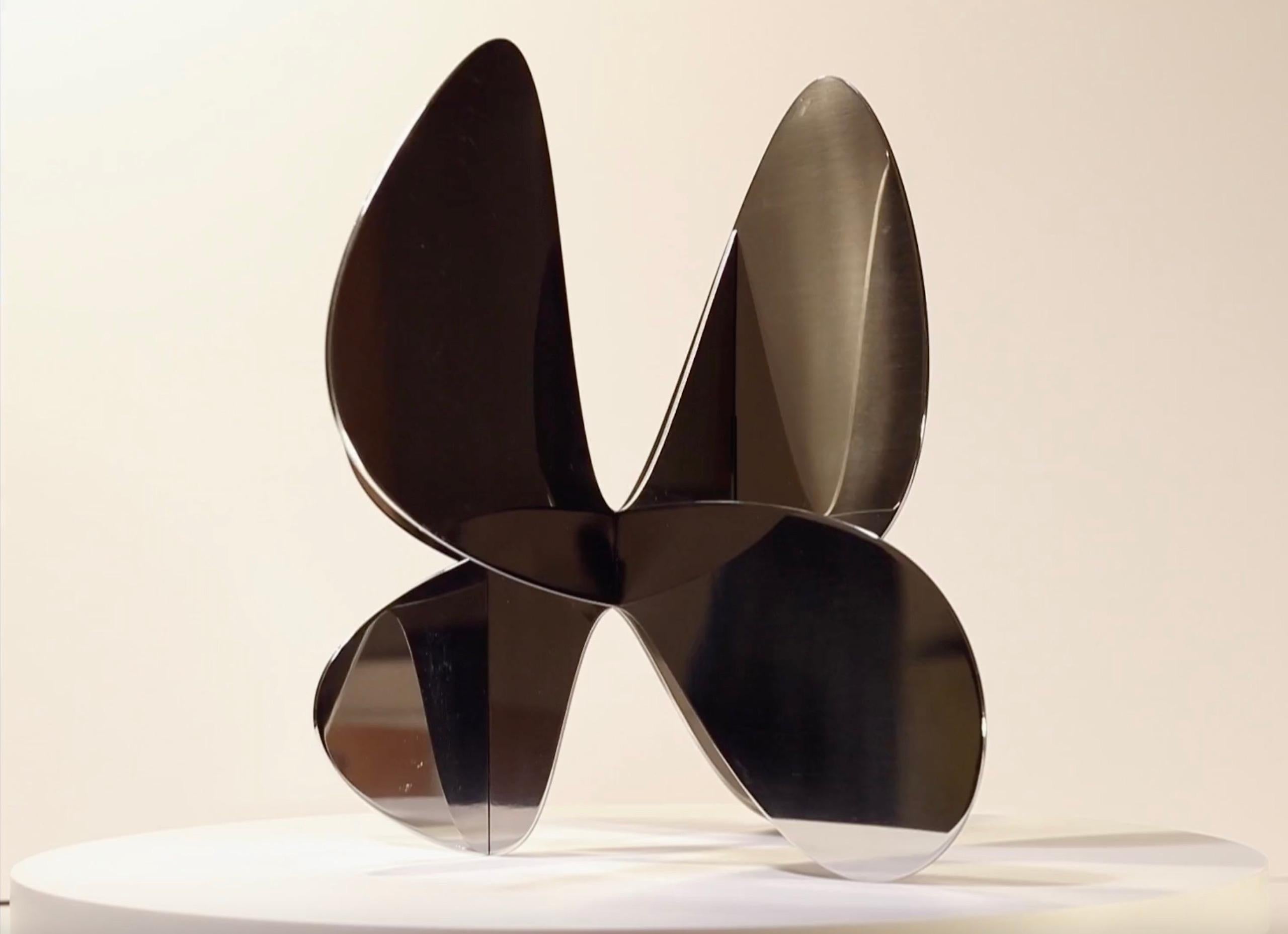 Barricada #7 aip S by Alejandro Vega Beuvrin - Abstract sculpture, silver colour For Sale 6