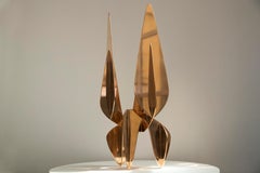 Guaicaquirón #1 bp S par A. Vega Beuvrin - Sculpture organique abstraite, bronze