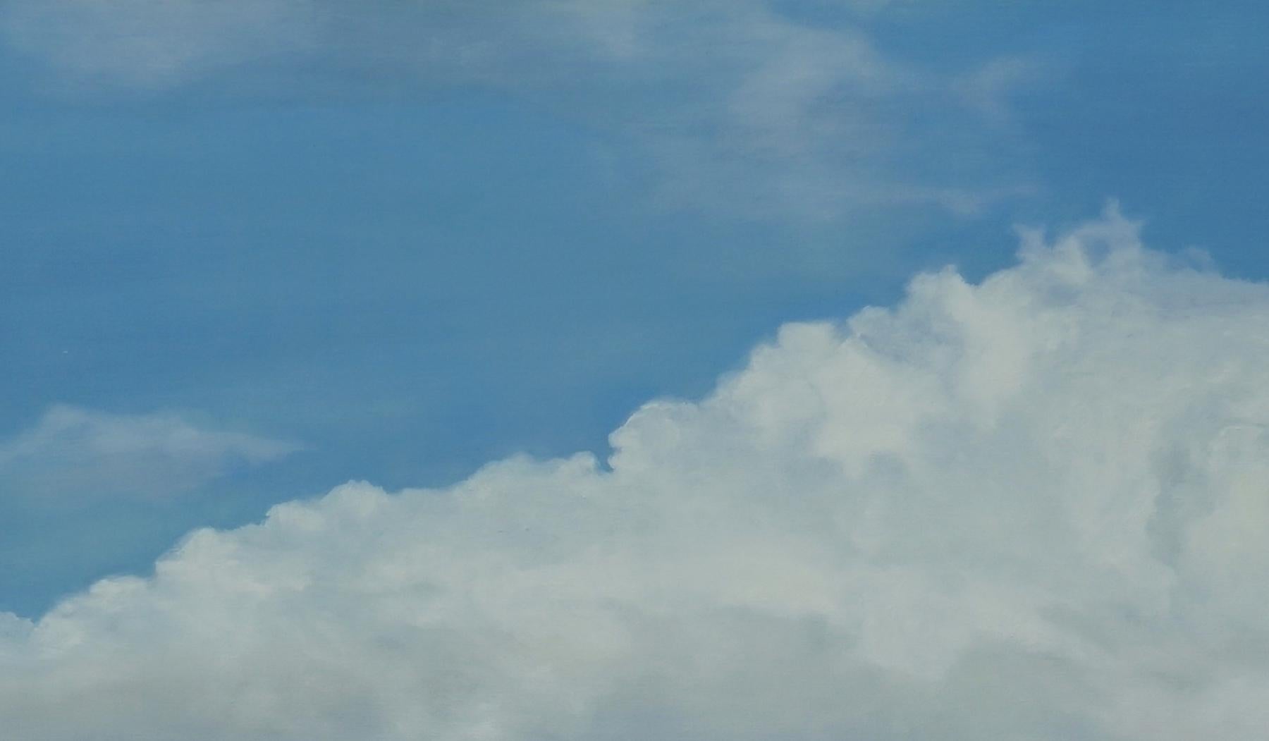 Agora Agorafolia - Großformatiges zeitgenössisches Nature-Ölgemälde, Landschaft, Wolken – Painting von Aleksandra Batura