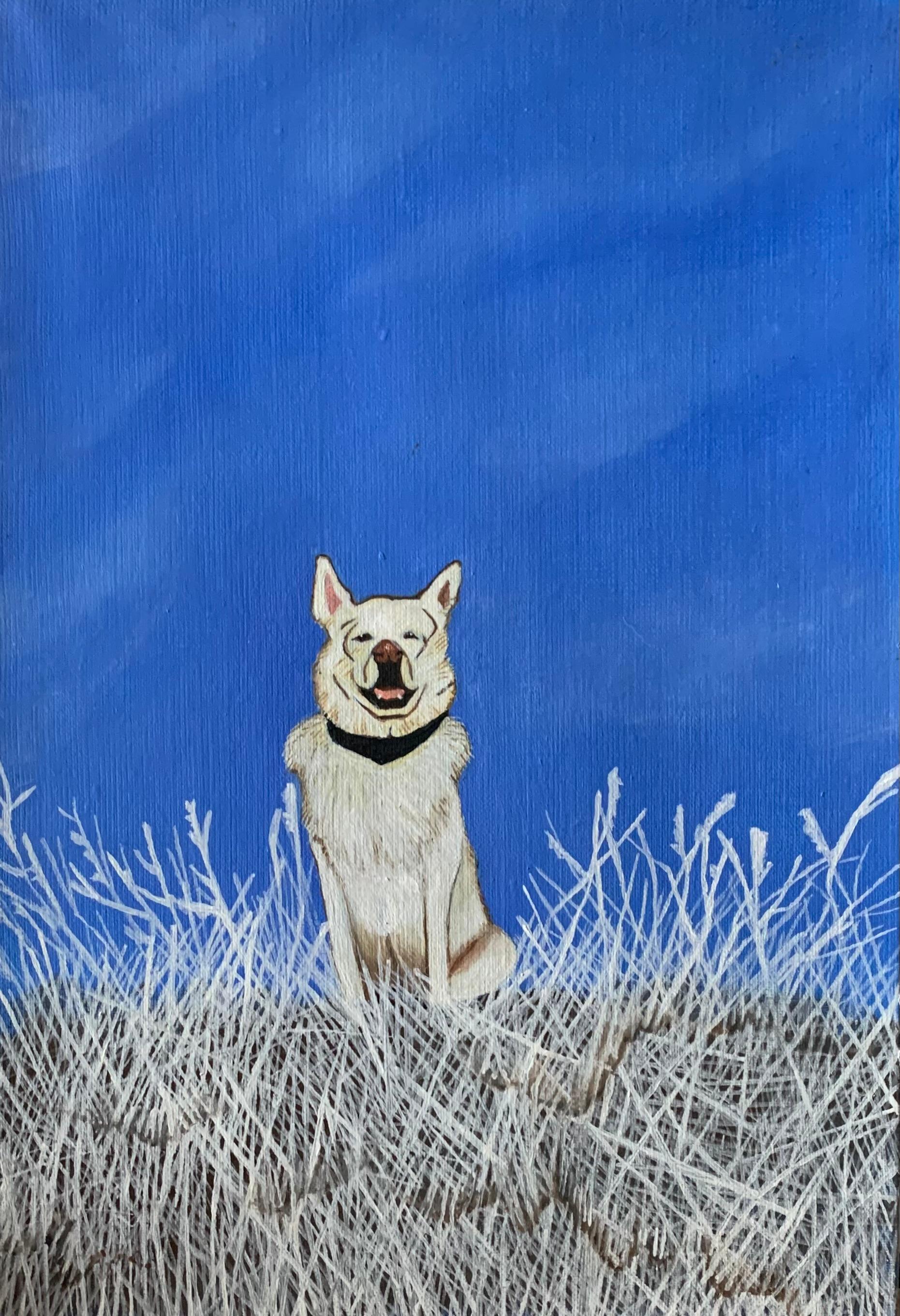Aleksandra Bujnowska Animal Painting - Irony - Contemporary Figurative Animal Oil Painting, Dog Portrait