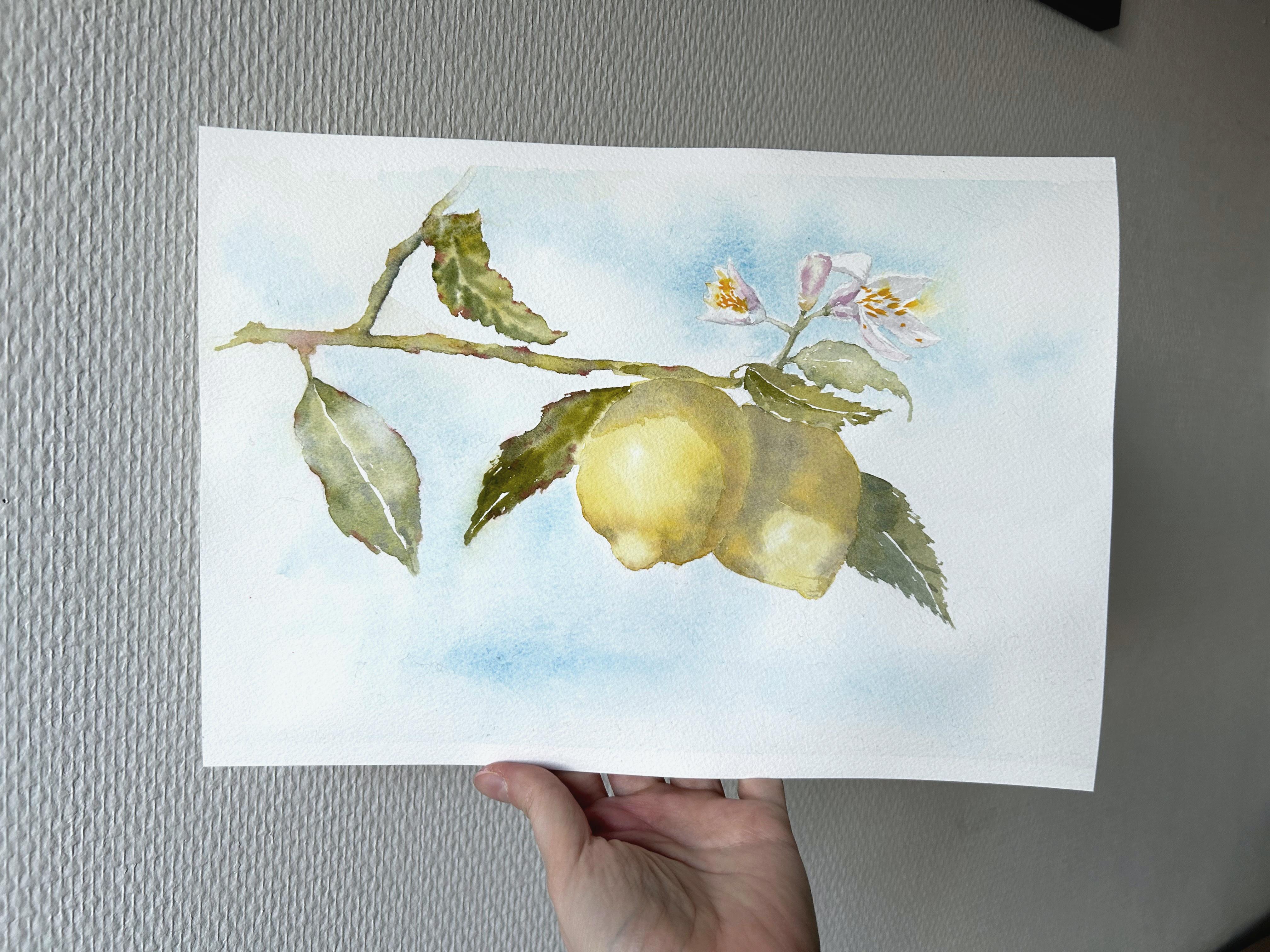 Limonero. Realismo, acuarela, blanco, amarillo, azul, frutas, cítricos, horizontal - Art de Aleksandra Strokina
