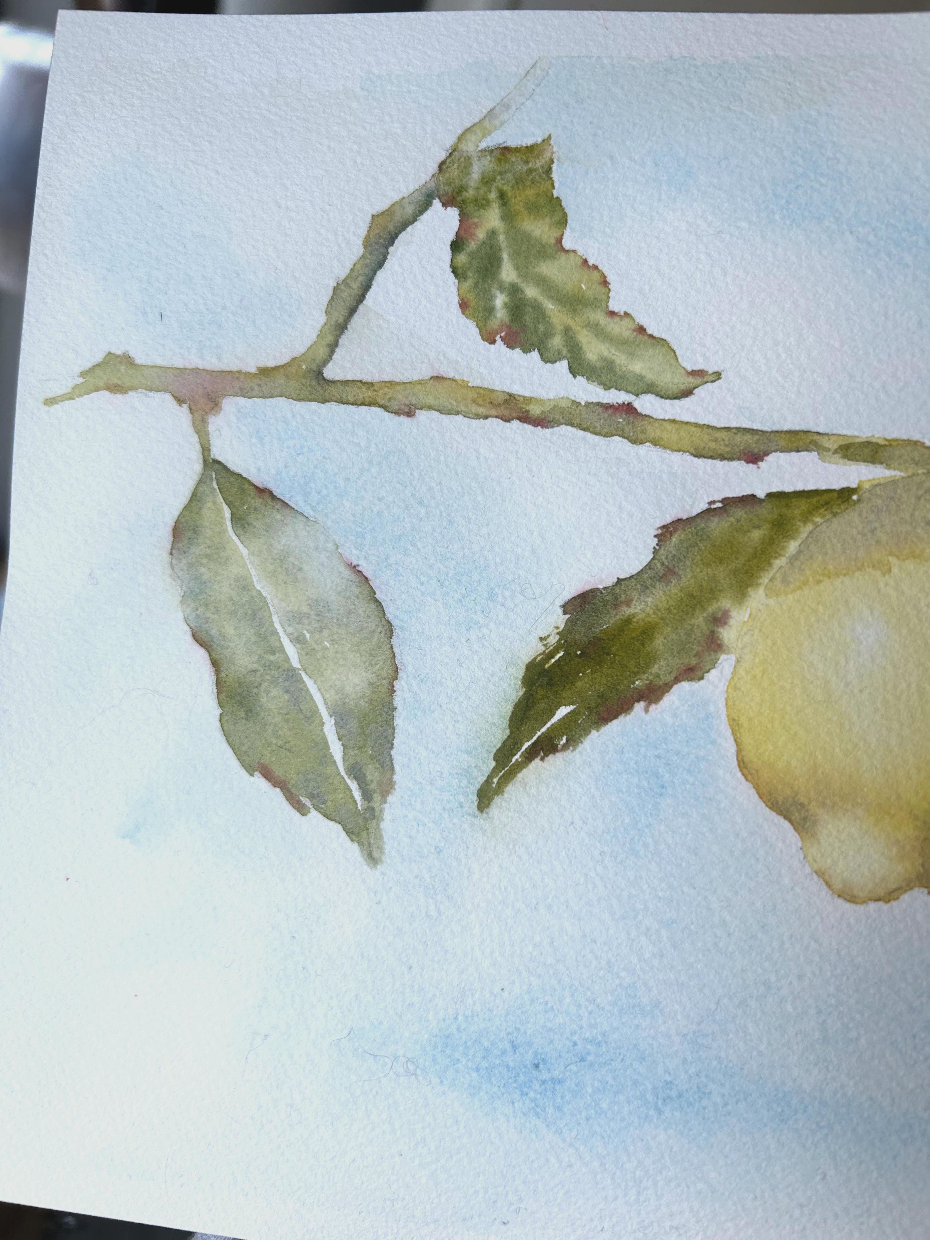 Limonero. Realismo, acuarela, blanco, amarillo, azul, frutas, cítricos, horizontal - Still-Life Gris de Aleksandra Strokina