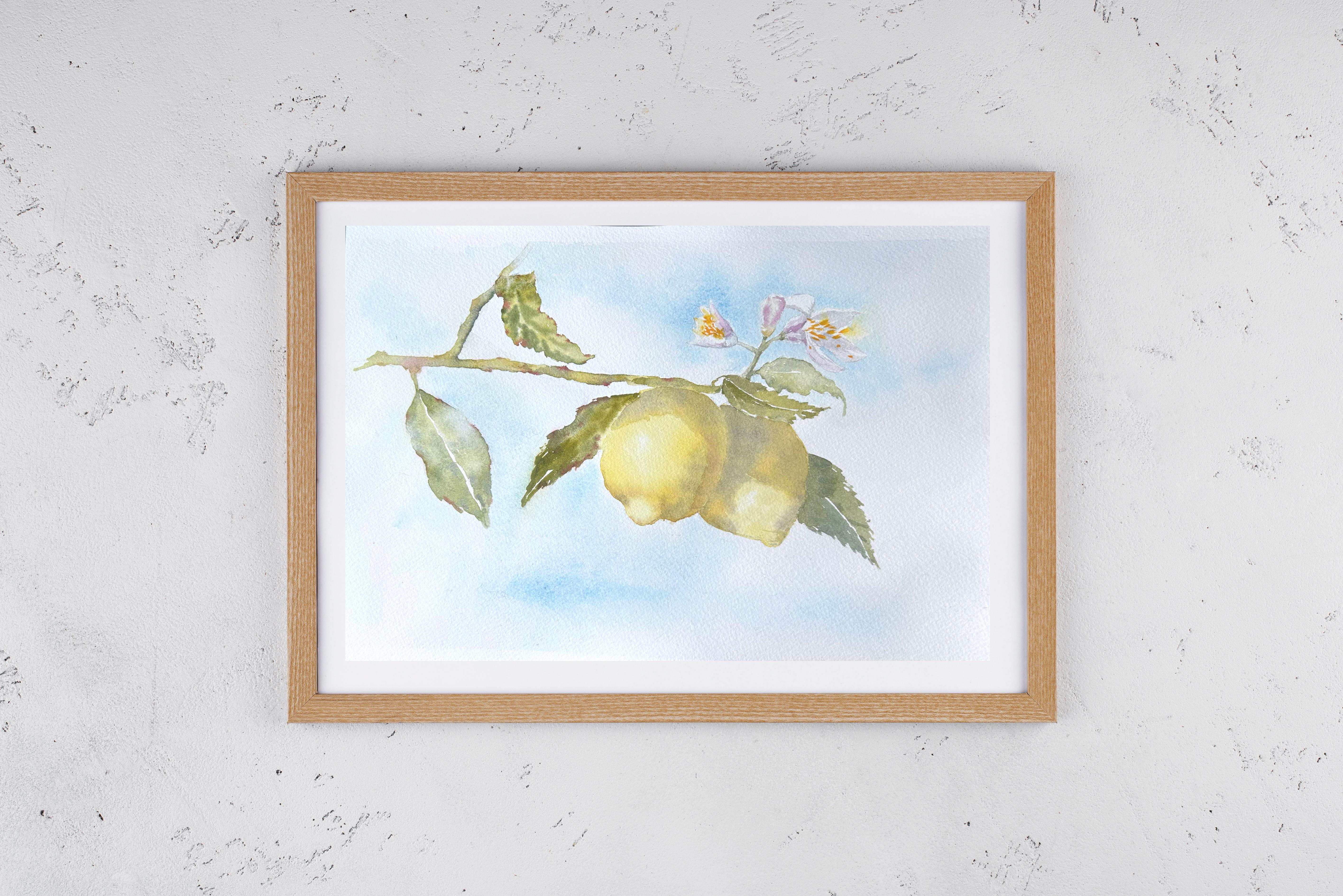 Limonero. Realismo, acuarela, blanco, amarillo, azul, frutas, cítricos, horizontal en venta 2