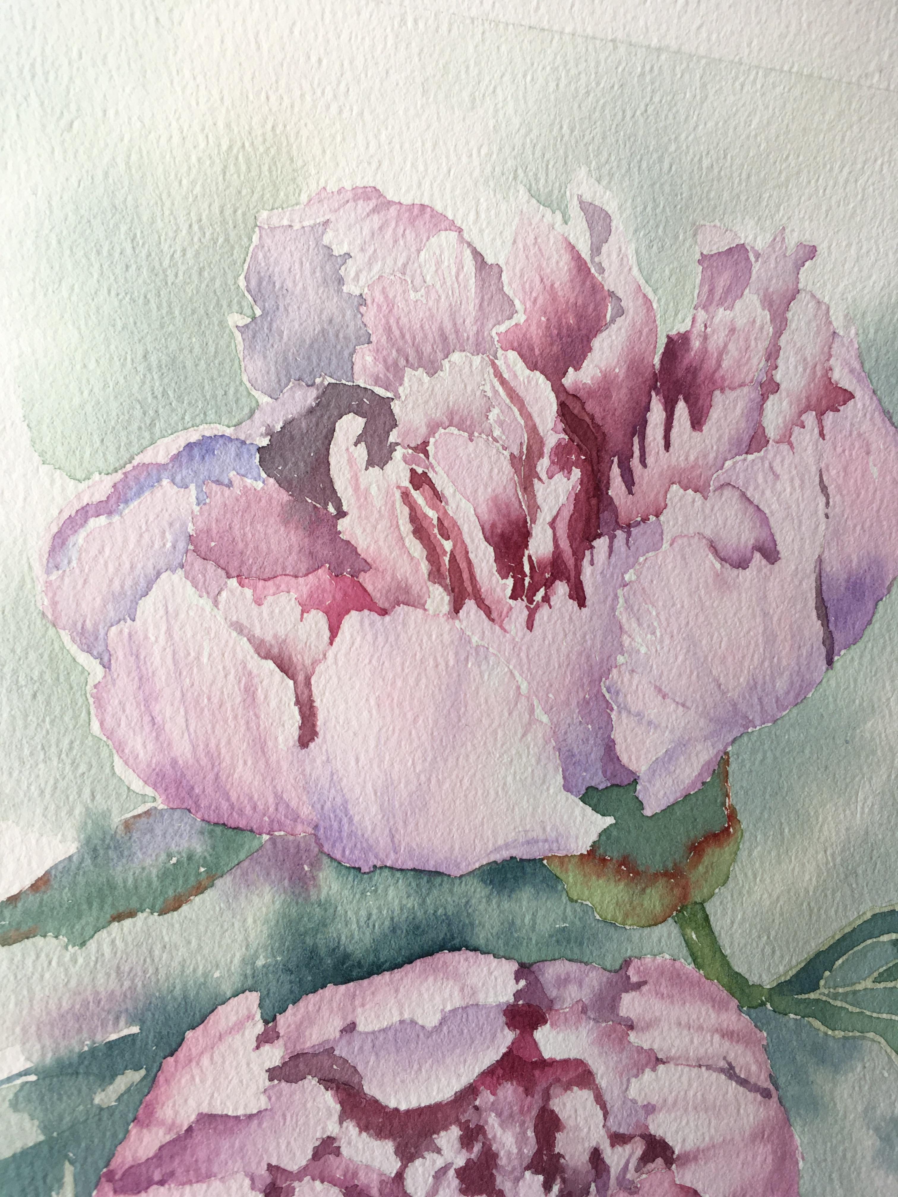 Aquarelle taille de l'image : 27 x 18 cm
Format du papier avec bordures blanches : 27 x 39 cm

Cette aquarelle d'Aleksandra Strokina capture la beauté délicate des pivoines en pleine floraison. Les coups de pinceau doux et fluides font ressortir les
