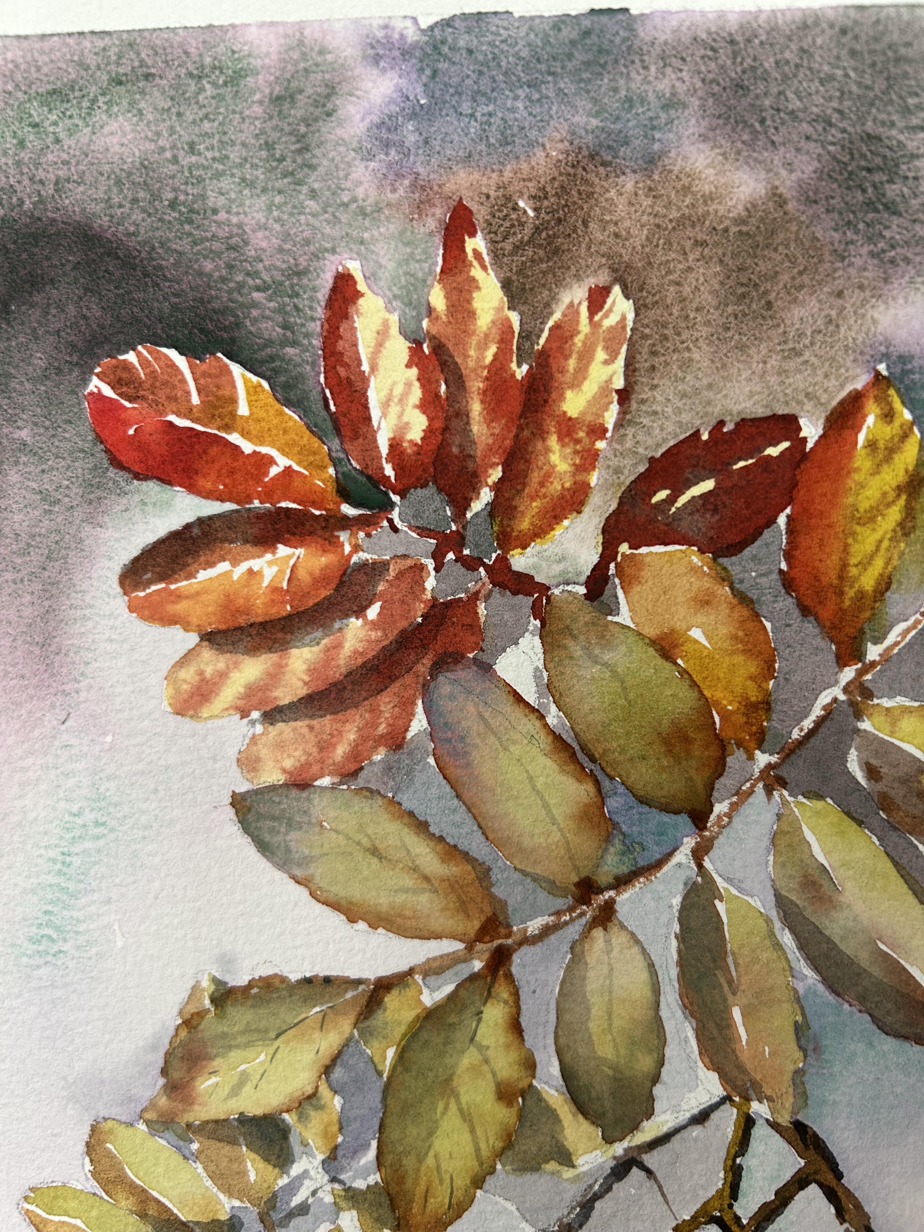 Dipingere un albero di sorbo. Acquerello, foglie d'autunno, bacche, arancione, rosso, piccolo in vendita 9