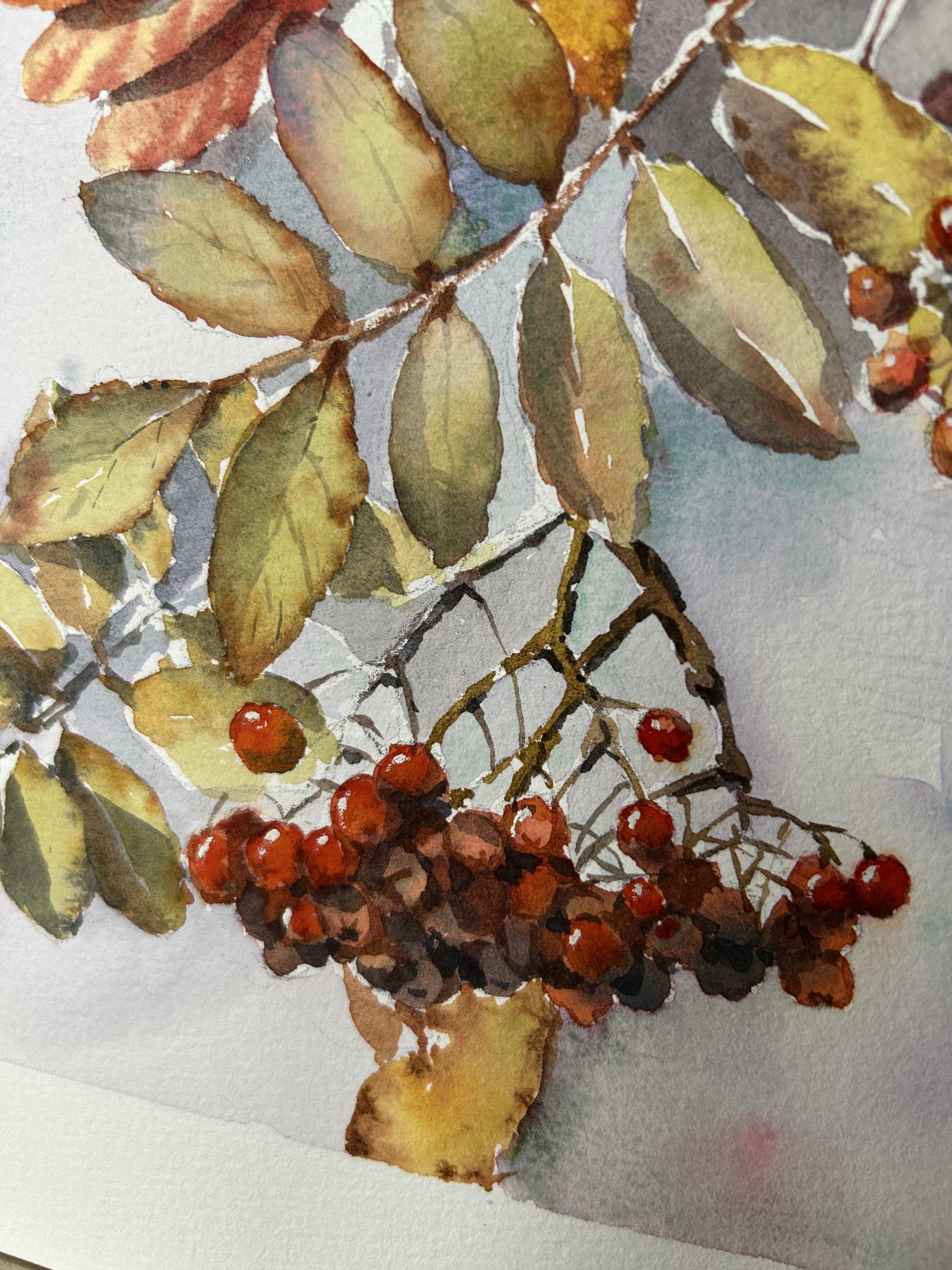 Dipingere un albero di sorbo. Acquerello, foglie d'autunno, bacche, arancione, rosso, piccolo in vendita 11