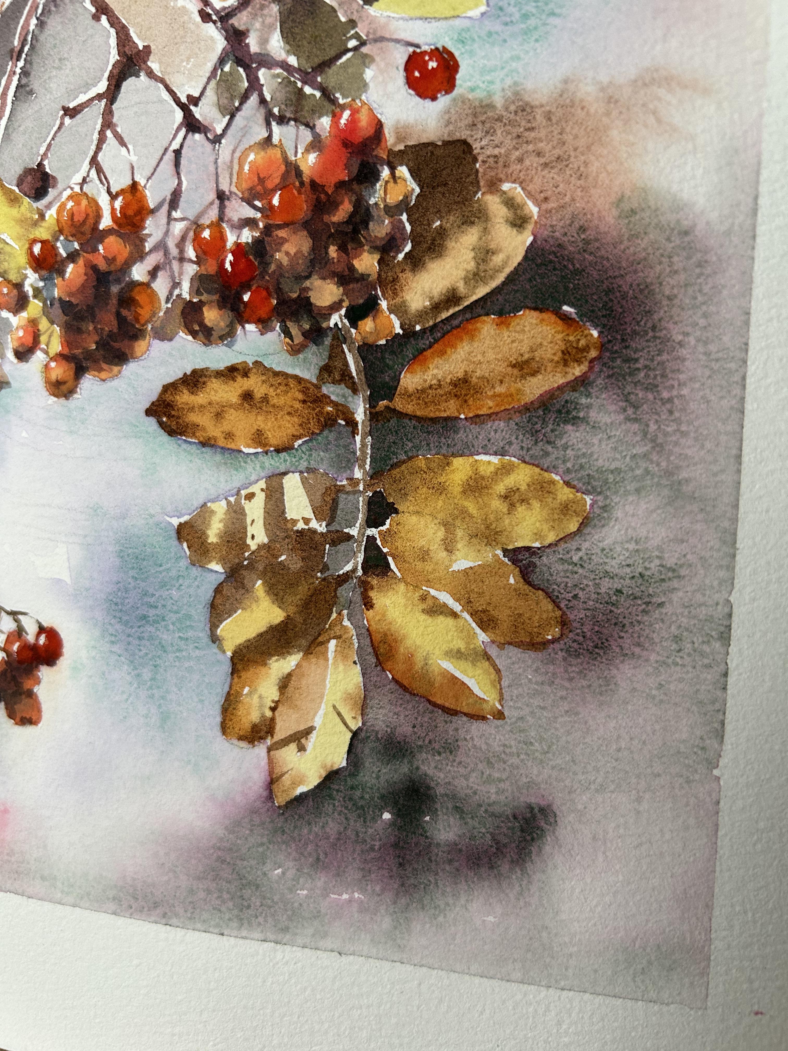 Dipingere un albero di sorbo. Acquerello, foglie d'autunno, bacche, arancione, rosso, piccolo in vendita 13