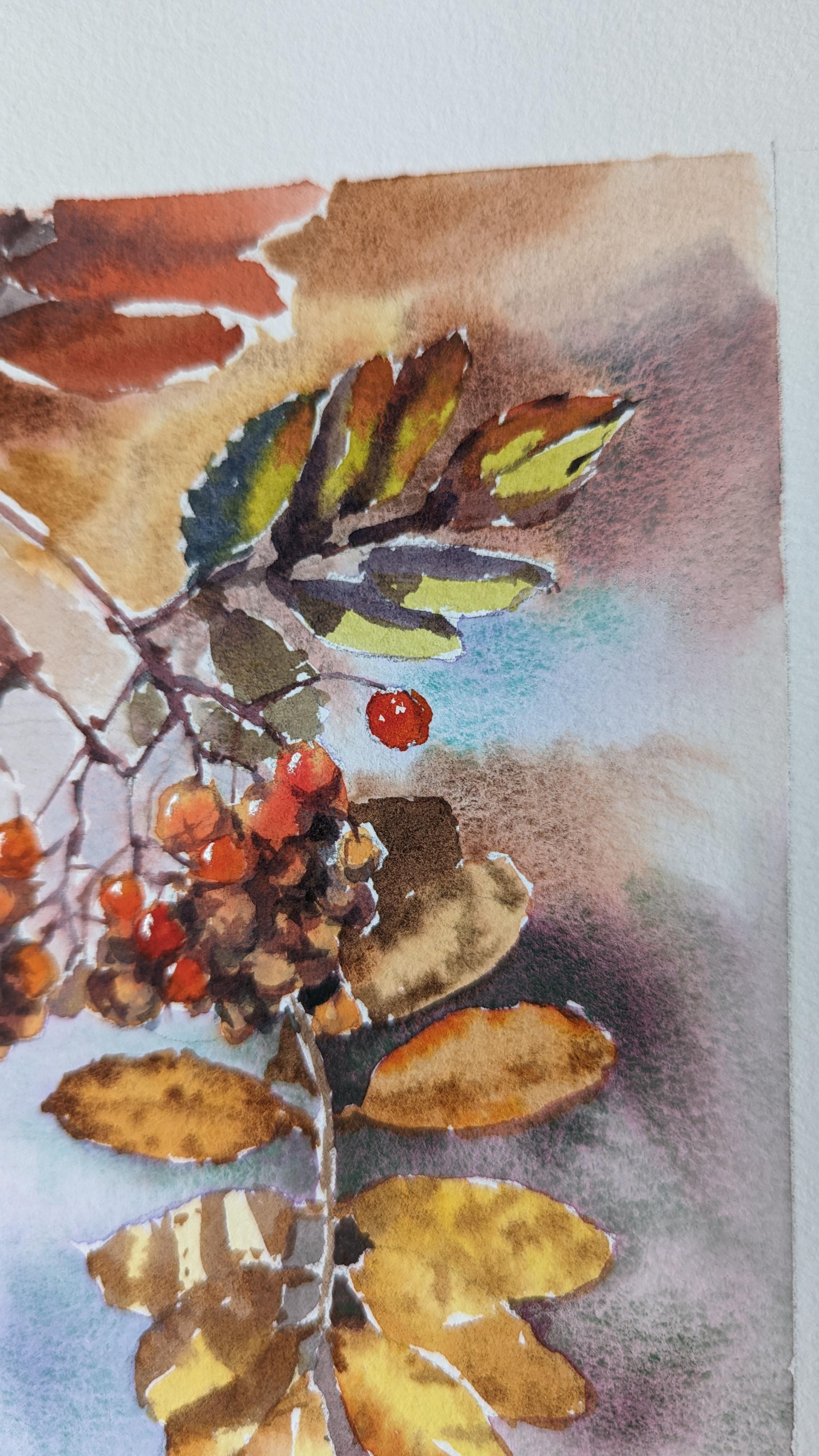 Dipingere un albero di sorbo. Acquerello, foglie d'autunno, bacche, arancione, rosso, piccolo in vendita 2