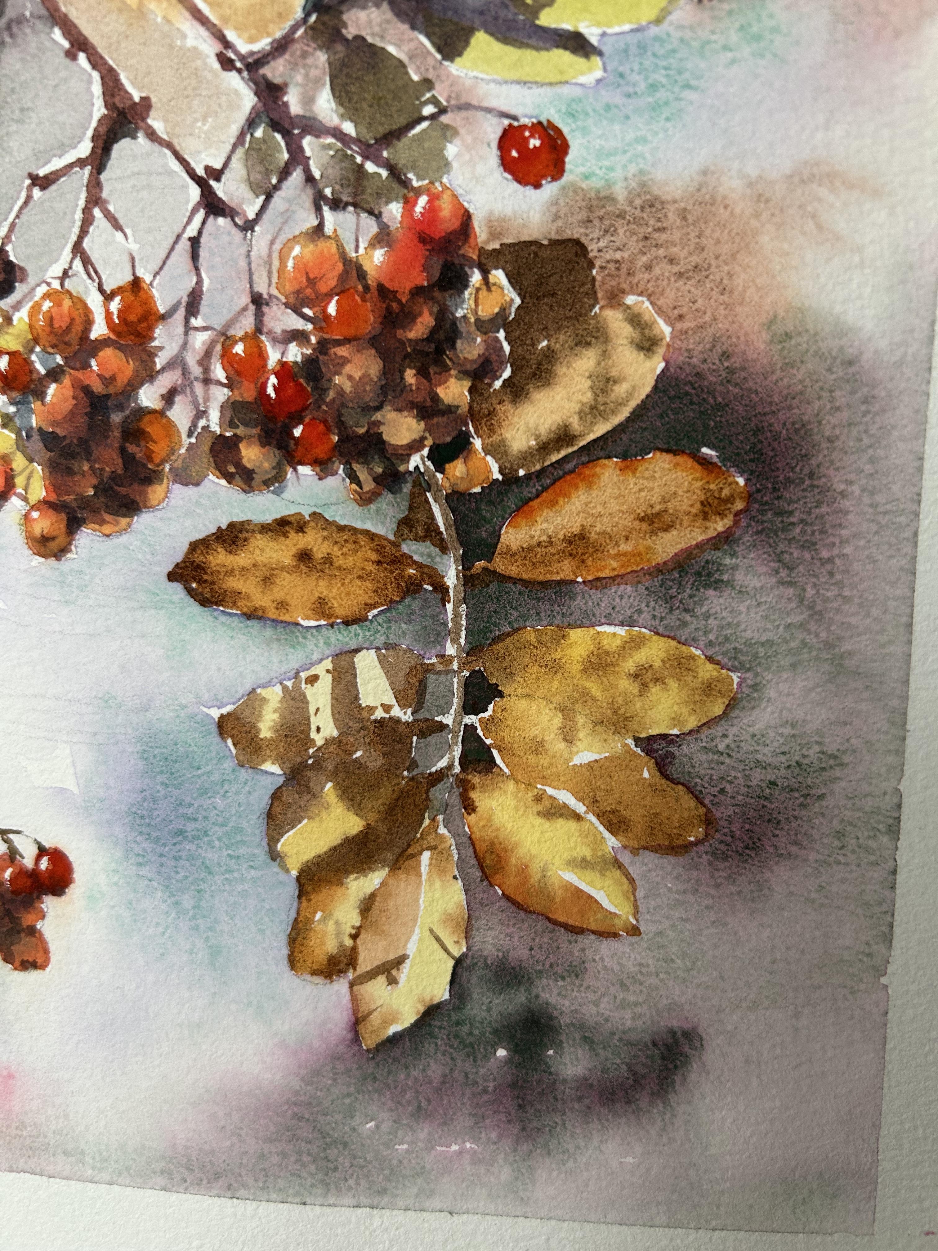 Dipingere un albero di sorbo. Acquerello, foglie d'autunno, bacche, arancione, rosso, piccolo in vendita 4