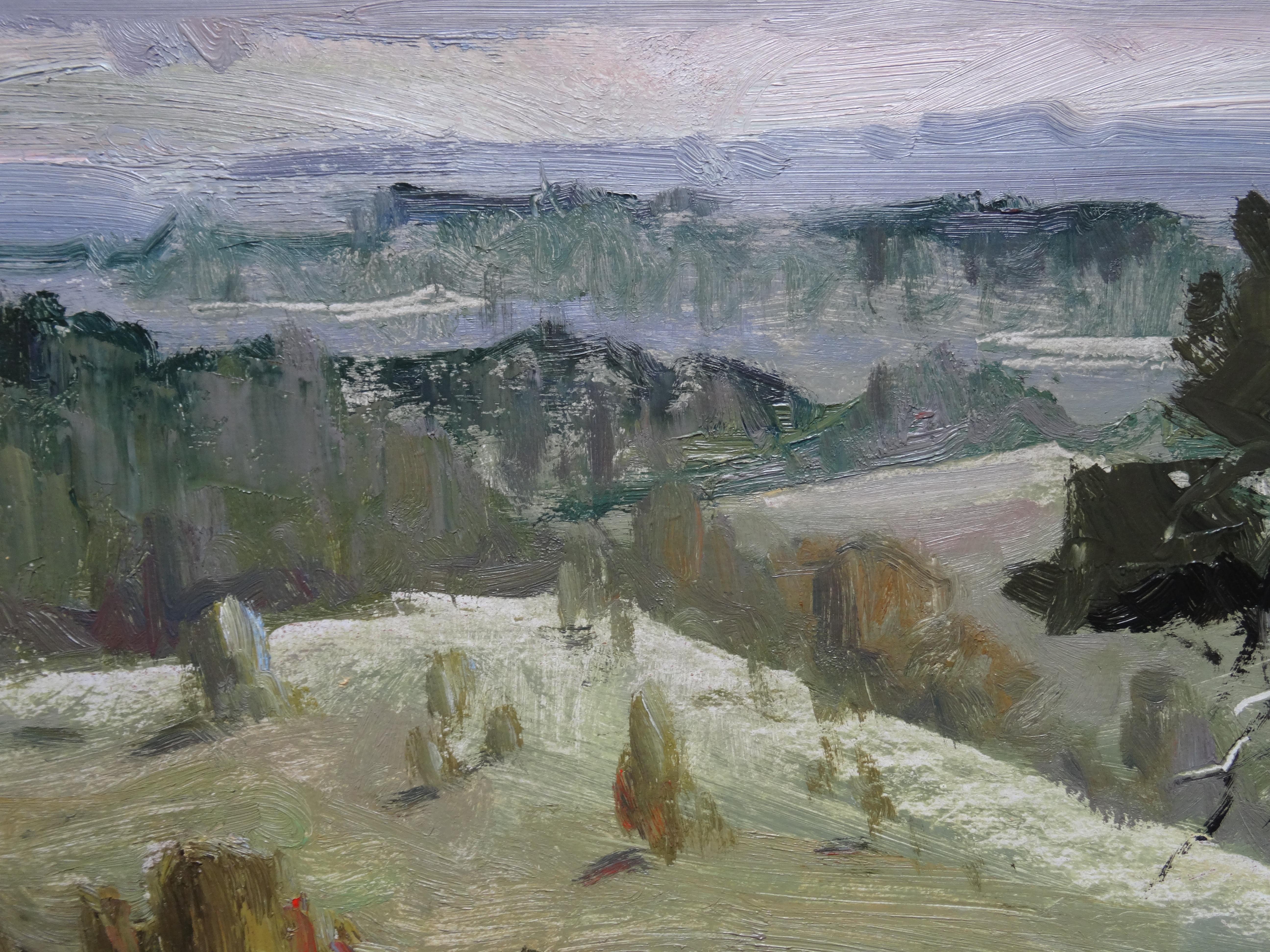 Paysage avec un saule. 1964:: huile sur carton:: 48x67 cm - Gris Landscape Painting par Aleksandrs Zviedris 