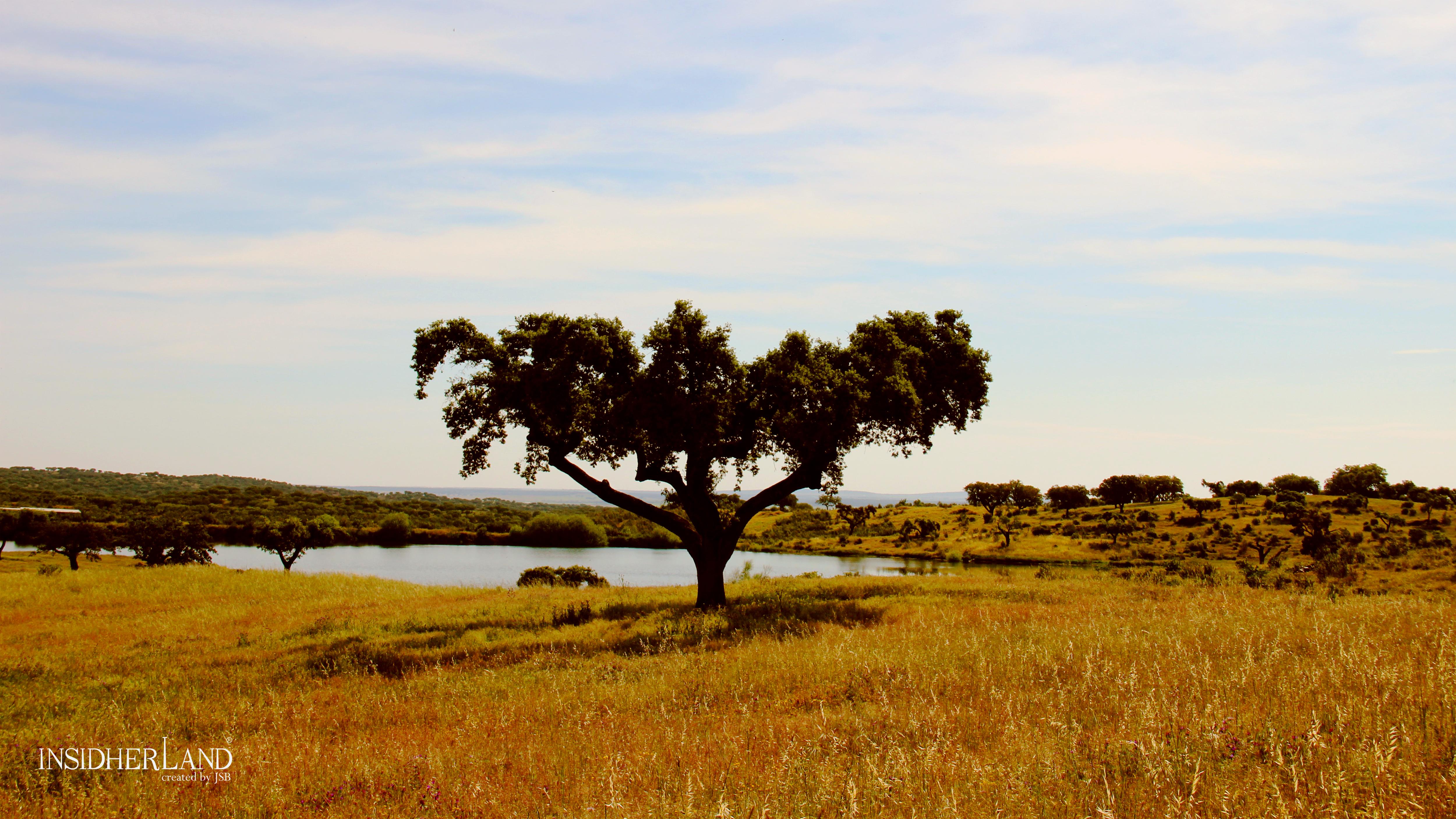 Beistelltisch „Alentejo“ aus Nussbaum und Messing, InsidherLand von Joana Santos Barbosa (Moderne) im Angebot