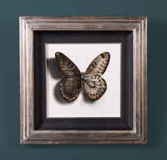 "Butterfly no. 78" Drawing with Gold & White Gold Leaf by Alessandra Maria