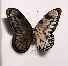 "Butterfly no. 79" Disegno con foglia d'oro e oro bianco di Alessandra Maria
