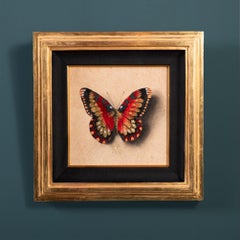 "Butterfly no. 84" Disegno con foglia d'oro di Alessandra Maria