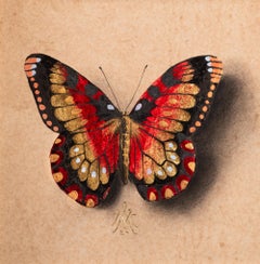 "Butterfly no. 84" Disegno con foglia d'oro di Alessandra Maria