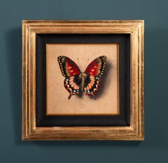 "Butterfly no. 85" Disegno con foglia d'oro di Alessandra Maria