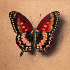 "Mariposa no. 85" Dibujo con pan de oro de Alessandra Maria