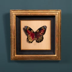 "Mariposa no. 86" Dibujo con pan de oro de Alessandra Maria