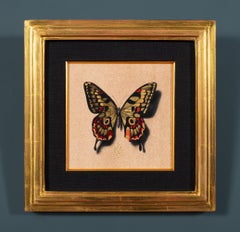 "Butterfly no. 87" Disegno con foglia d'oro di Alessandra Maria