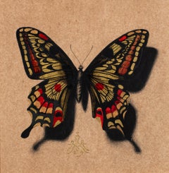 "Butterfly no. 88" Drawing with Gold Leaf by Alessandra Maria