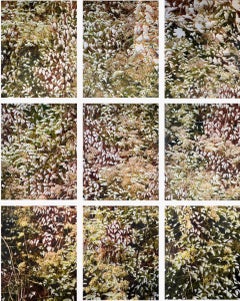 Primavera II
