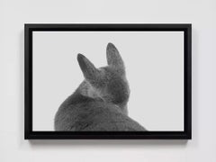 Fawn, Hayward, Wisconsin