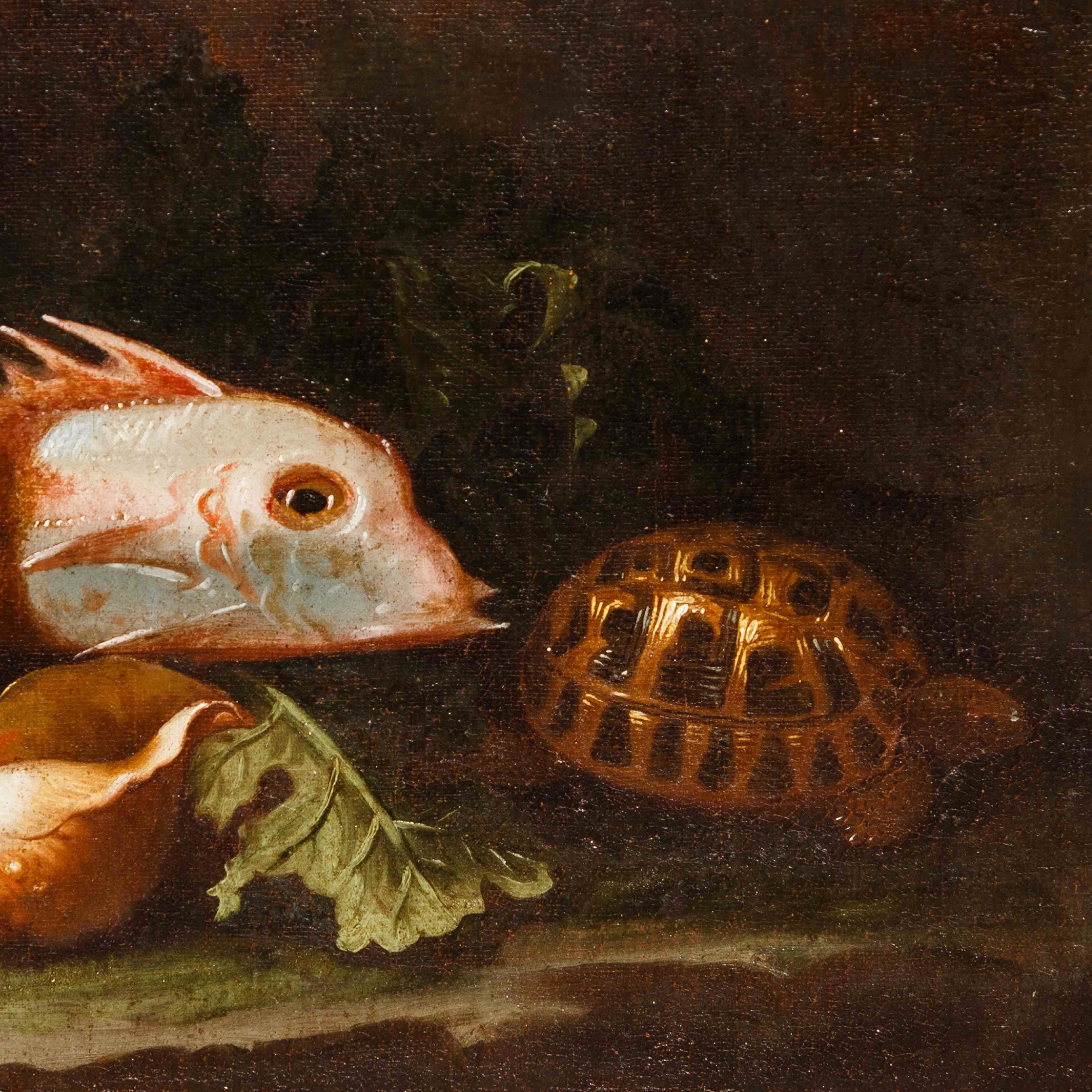 Alessandro de' Pesci (tätig bis 1750), Fischhändler im Angebot 2