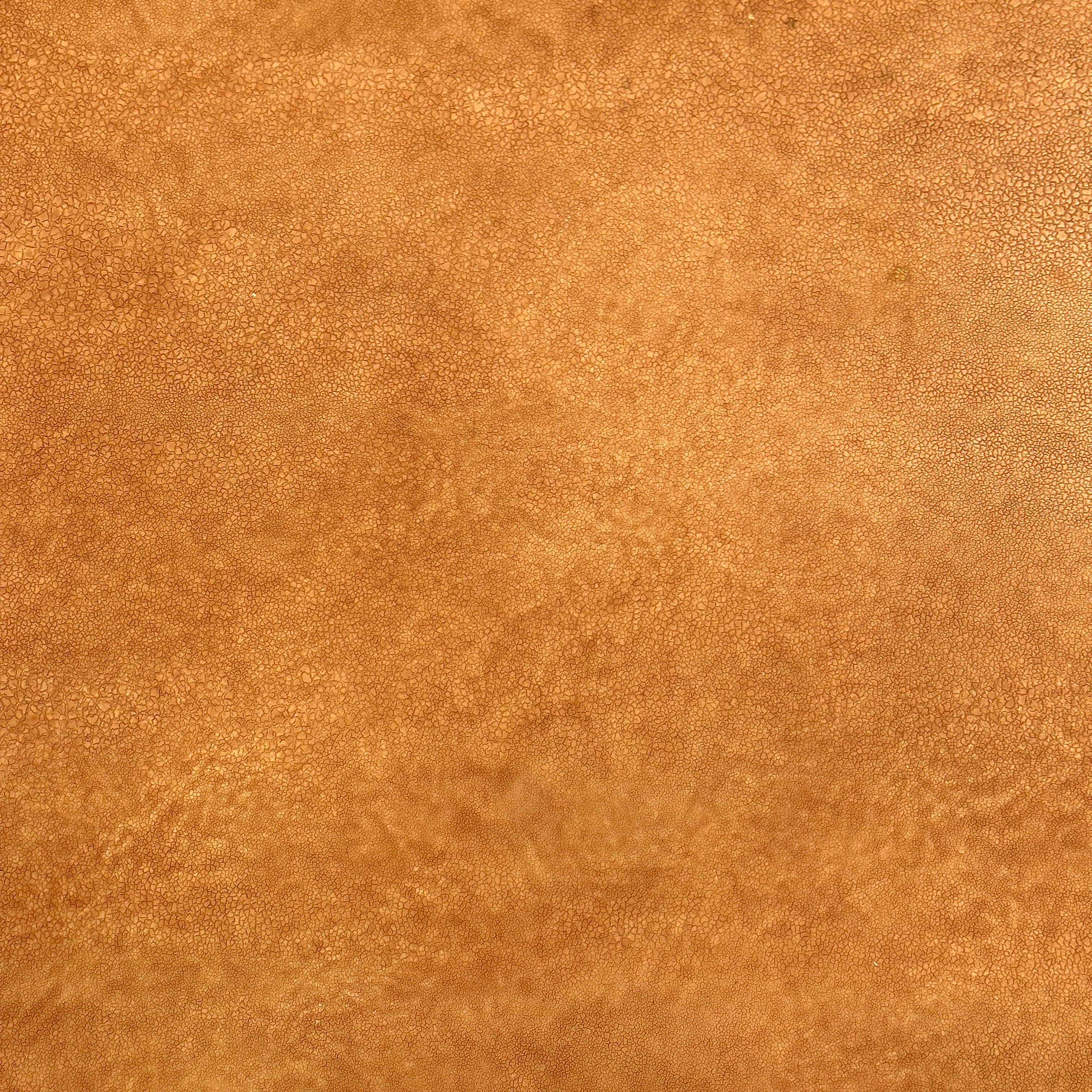 Faux Leather Alessandro for Baker Asian Inspired Coffee Table with Faux Parchment & Shagreen