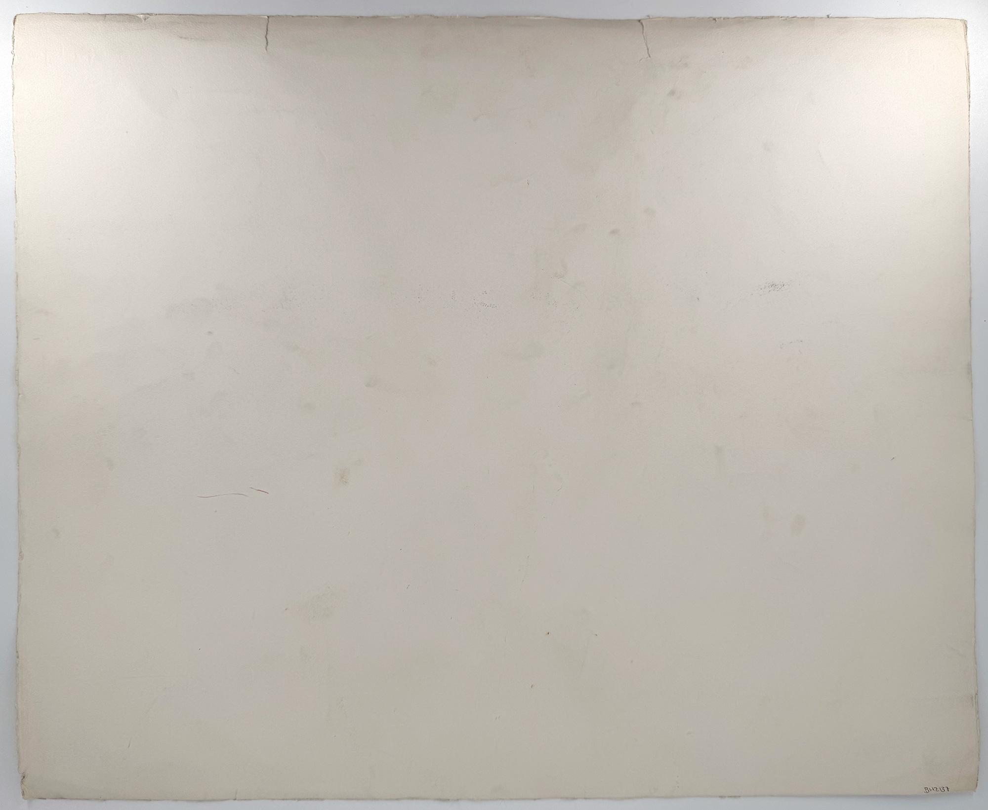 Branch spinoso - Print di Alessandro Nastasio