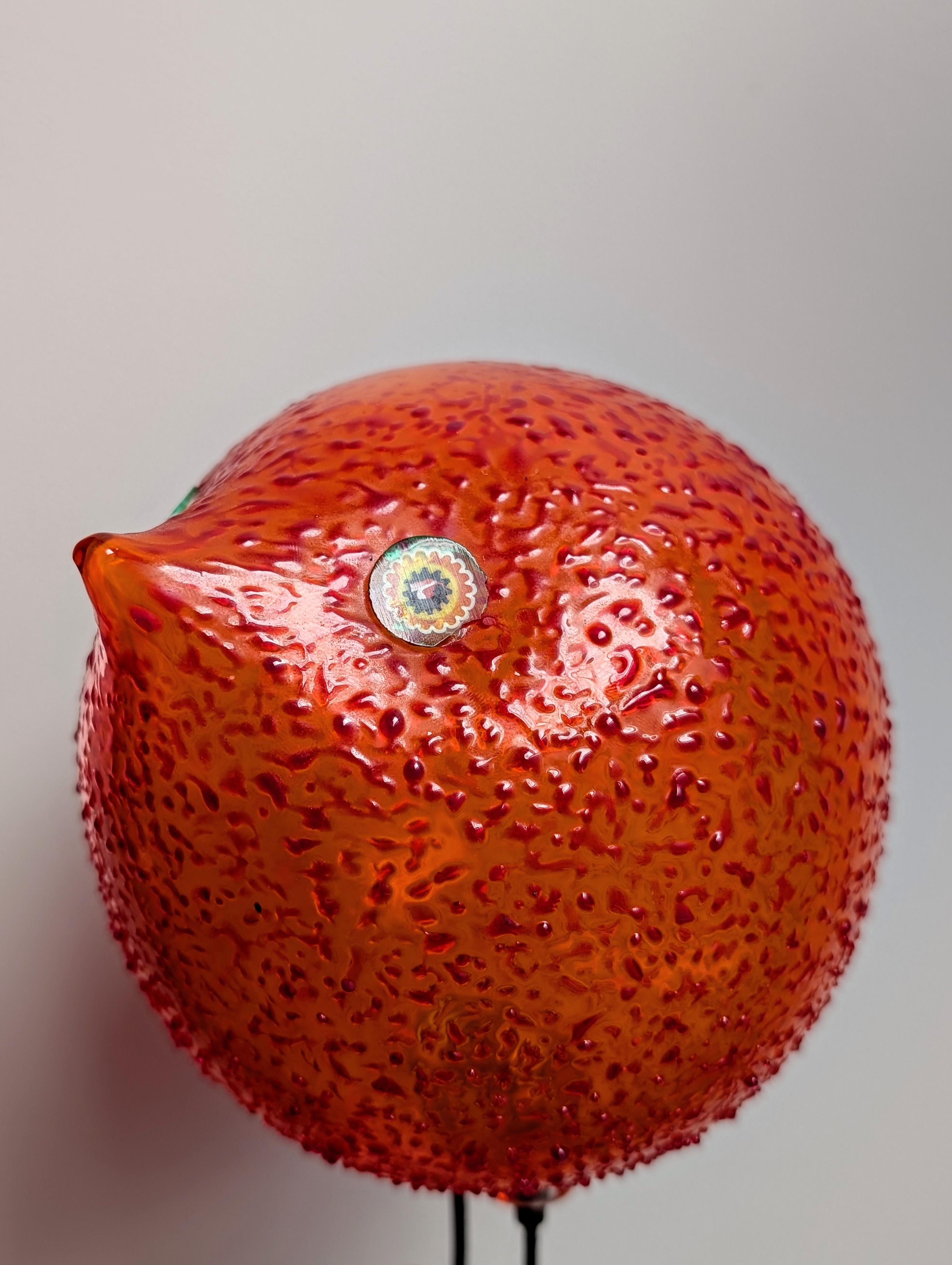 Alessandro Pianon Bird 