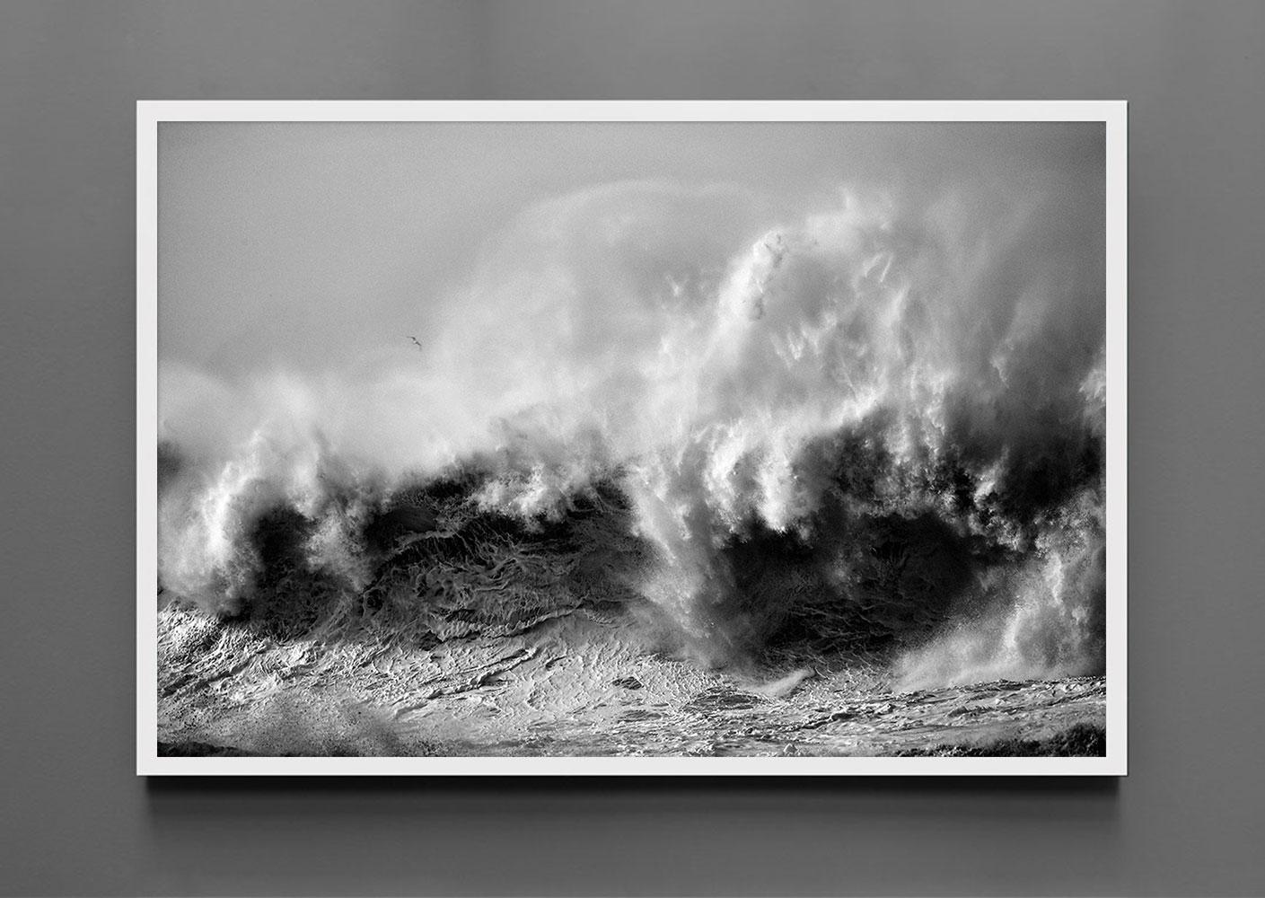 Stute 423 - Fotografie der Meereslandschaft – Photograph von Alessandro Puccinelli