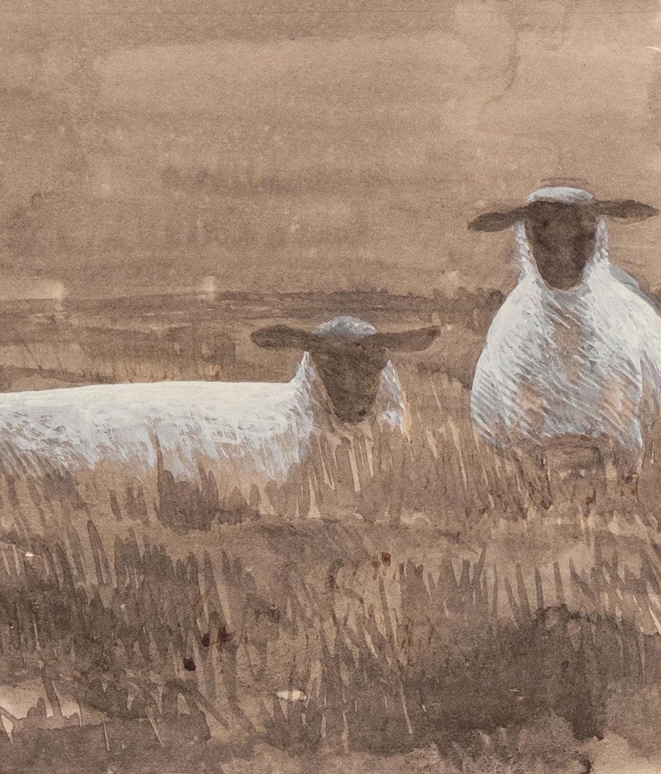Study for Three Sheep 5