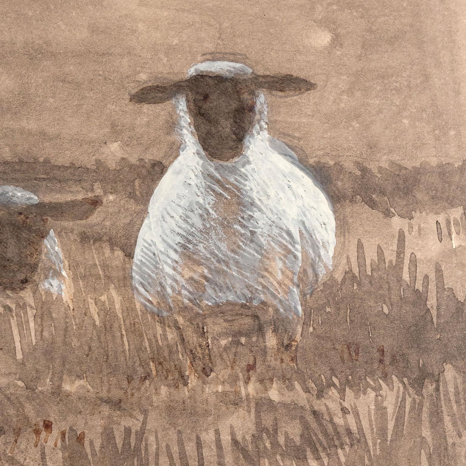 Study for Three Sheep 3