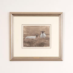 Study for Three Sheep