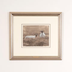 Study for Three Sheep