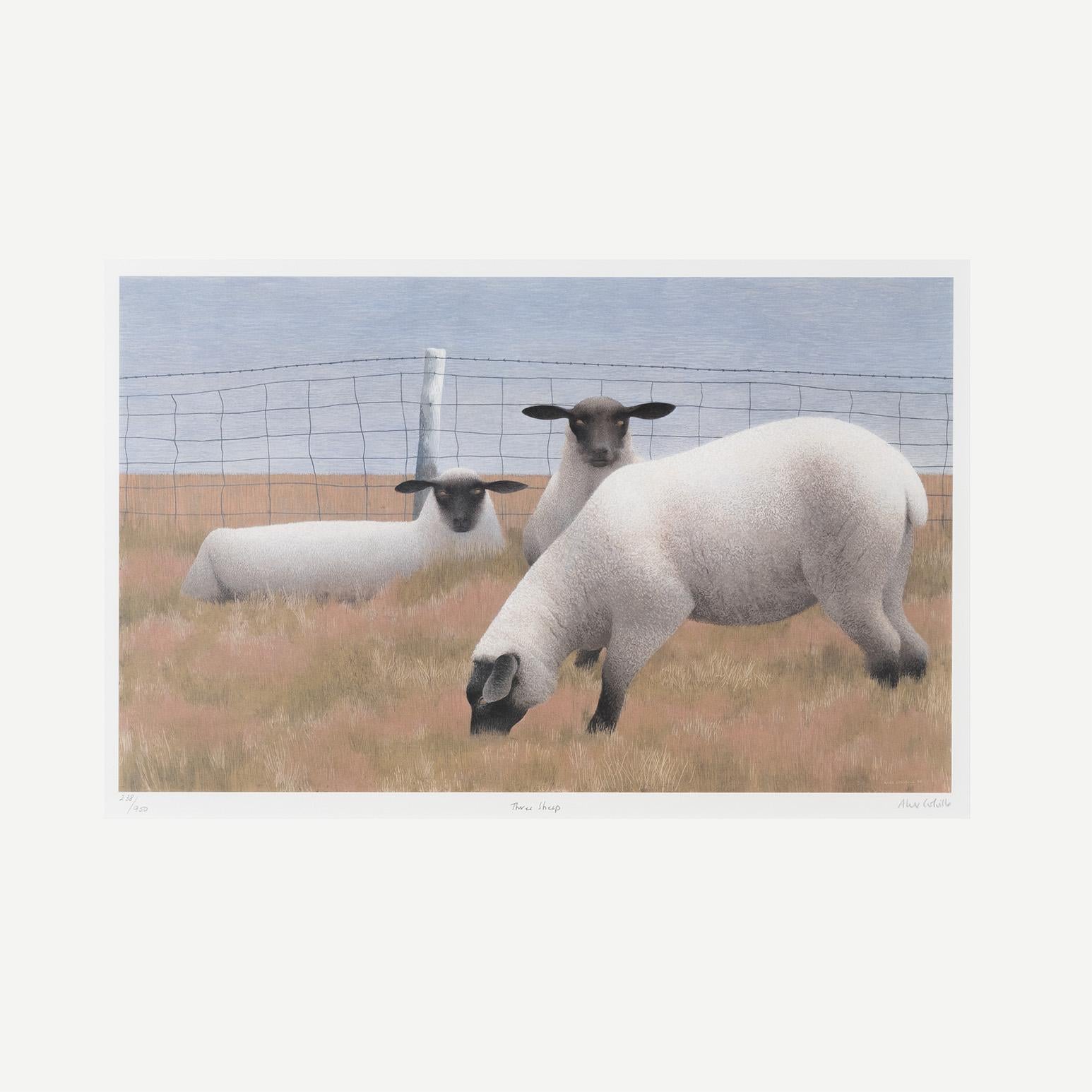 Tres ovejas - Print de Alex Colville