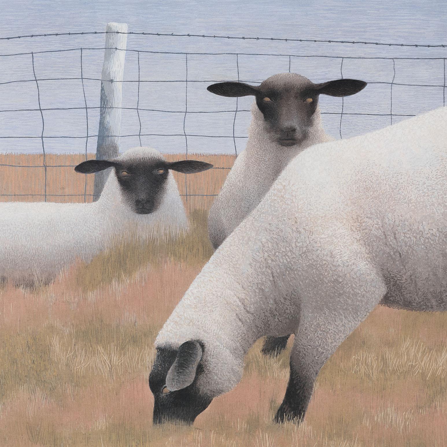 Tres ovejas - Print Realista de Alex Colville