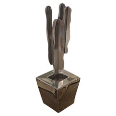 Alex Davis Il mio cactus pigro, 2007 firmato