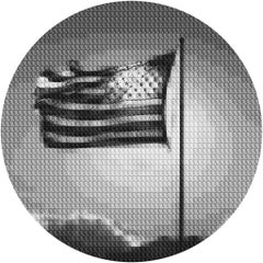If I Can Dream Flag Vs. Liberty, after Mapplethorpe