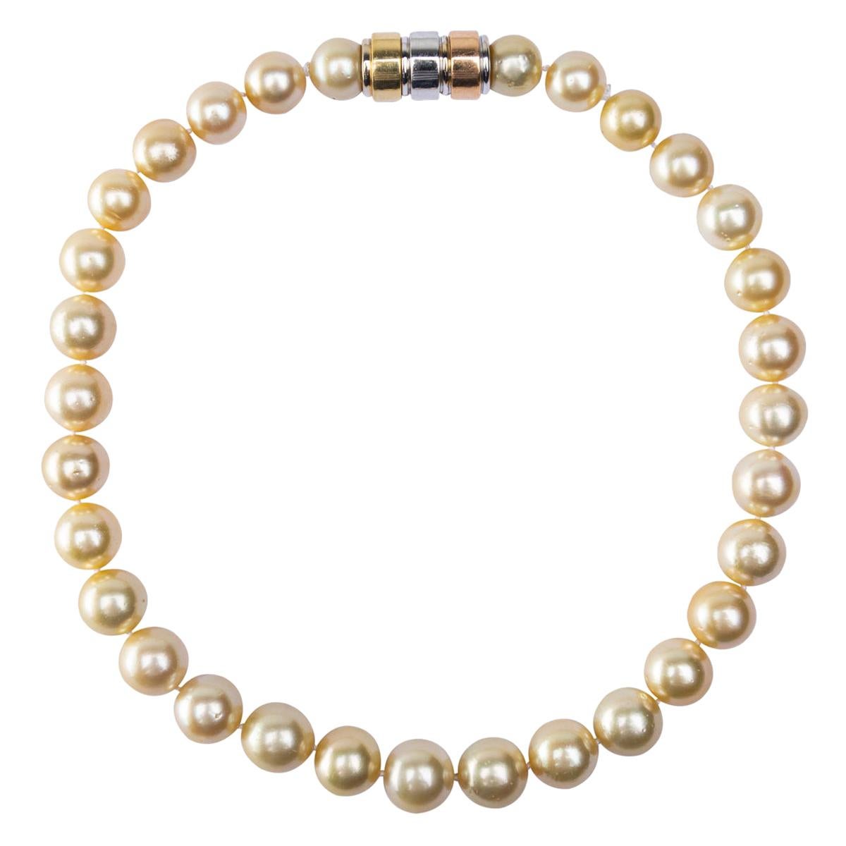 Alex Jona Golden South Sea Pearl Necklace For Sale