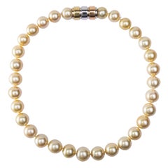 Alex Jona Golden South Sea Pearl Necklace