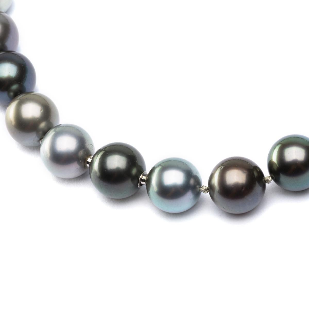 Round Cut Alex Jona Multicolor South Sea Pearl Necklace For Sale