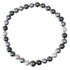 Alex Jona Multicolor South Sea Pearl Necklace