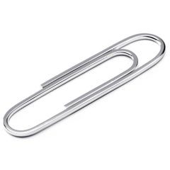 Fermasoldi Alex Jona in argento sterling