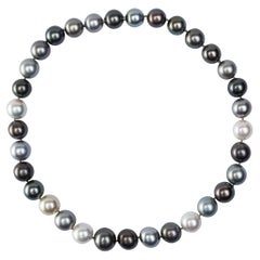 Alex Jona, collier de perles grises et blanches des mers du Sud de Tahiti
