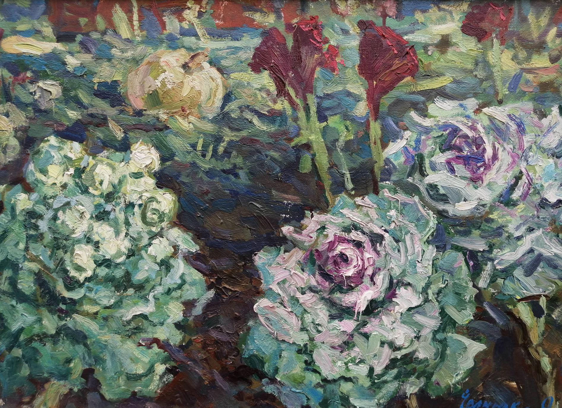 Artist: Alex Kalenyuk 
Work: Original oil painting, handmade artwork, one of a kind 
Medium: Oil on canvas 
Year: 2006
Style: Impressionism
Title: Cabbage in the Garden, 
Size: 23.5
